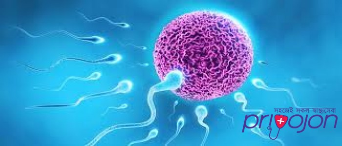 fertility-treatment-procedure-cost-and-side-effects