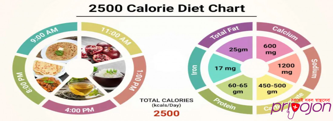 Diet Chart For 2500 calorie